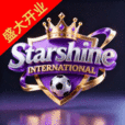 星耀国际
